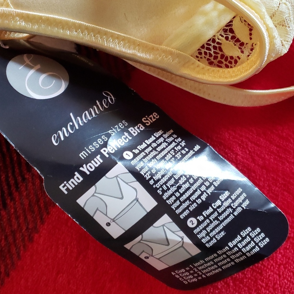 padded bra - Picture 6 of 6